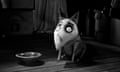 Sparky the dog in Frankenweenie