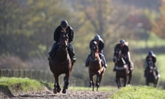 The New One, the Champion Hurdle favourite, leads a work out on Nigel Twiston-Davies's gallops