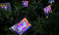 Nam June Paik's 'TV Garden'