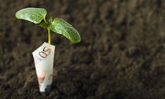 Green Money - Plant growing a 50 Euro Bill
