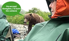 What do you reckon the bear might be thinking?