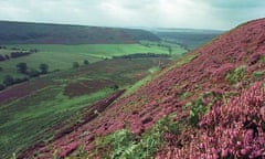 North Yorkshire Moors