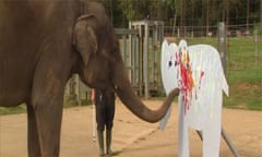 Elephant shows its artistic side to raise awareness