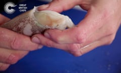 How to prepare a squid - video
