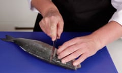 Chef filleting a round fish