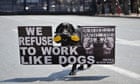 A protest dog during the May Day demonstrations in Athens, Greece