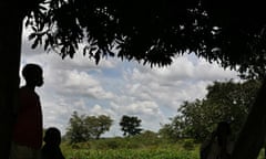 Mango farmers in Katine