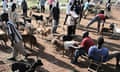 Buying and selling goats at Katine market, in north-east Uganda