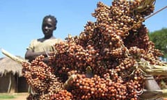 Katine resident Demita Ajemo holds up some of her sorghum harvest