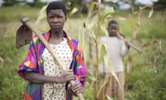 Farming in Katine