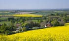 South Downs landscape with oilseed rape field near Milton Street, Eastbourne, Sussex, England, UK.