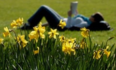 WEATHER Spring daffodils