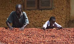 Fermented cocoa beans