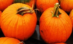 Garden week: Pumpkins