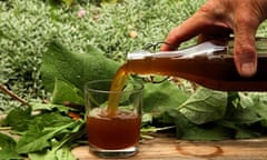 Dandelion and burdock beer