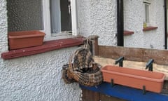 Helen Babbs' new window box and basket setup