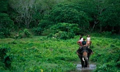 Tourists Trekking on Elephant