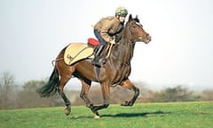 A jokey and thoroughbred race horse galloping fast on an open field in England.