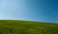 Grass with blue sky