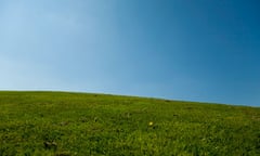 Grass with blue sky