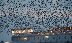 brighton pier