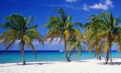 Caribbean beach with palm trees