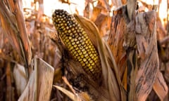 Southern Minnesota Spared From Drought