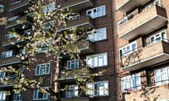 Housing estate and tree