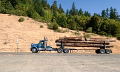 Giant redwood logs, California