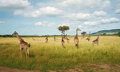 Masai Mara