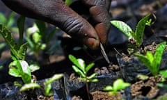 Kenya farmer