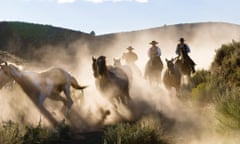 Cowboyrs riding in Oregon, USA