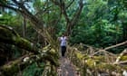 A man crosses one of the living root bridges in Northeast India