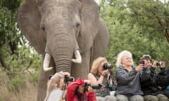 A huge male elephant creeps up on tourists at Imire: Rhino and Wildlife Conservation area in Wedza, Zimbabwe.