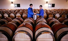 Winemakers working in the cellar