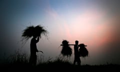 Indian farmers return home carrying bundles of paddy on the outskirts of Gauhati