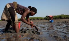 Women on Bubaque Island are swamped by physical challenges while harvesting oysters in Guinea Bissau.