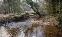 The Highland Water, rushing on its way through the New Forest, Hampshire.