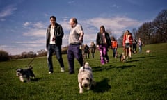 How to set up a dog-walking group - Do Something