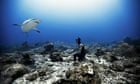 Free diving with sharks in Roatan, Honduras
