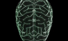 Human brain wireframe