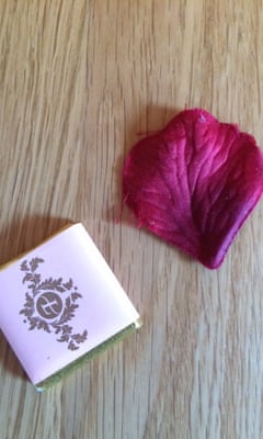 Petal from Josie Rourke’s Coriolanus with Tom Hiddleston and chocolate from The Hotel Plays