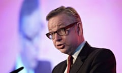 Education secretary Michael Gove: his desire to expand the reading of teenages is laudible.