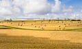 Hay bales in Lincolnshire