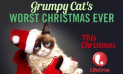 grumpy cat movie