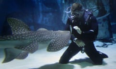 Swimming with sharks - TV presenter Steve Backshall launches the Shark Trust No Limits? campaign at SEA LIFE London Aquarium
