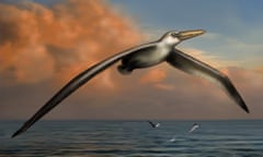 Artist's impression of Pelagornis sandersi.