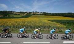 The peloton, including race leader and yellow jersey holder Vincenzo Nibali of Italy, cycles past a field of sunflowers.