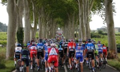 The pack rides along a tree-lined road during the 237.5km 16th stage of the Tour de France between Carcassonne and Bagneres-de-Lucon.