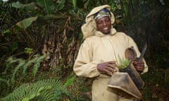 Cameroon beekeepers. Bridget Mbah, secretary to the Bamendankwe Rural Development Women's Organisation fuels a smoker with leaves.